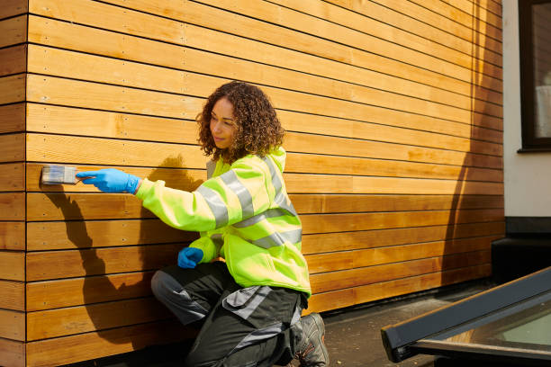 Professional Siding in Cove Creek, NC